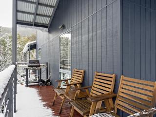 Snowbound 1 - Thredbo - 0