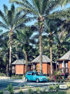OPINE VILLAS/菠萝的海.度假别墅 - 6