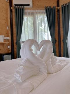 OPINE VILLAS/菠萝的海.度假别墅 - 5