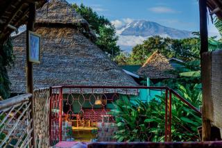 Royal Wonders Hotel - 7