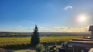 Monteurwohnung Ha-Wei -90 m2 - Hangen-Weisheim - 2