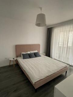 Apartament Anca - Sînmartin - 6