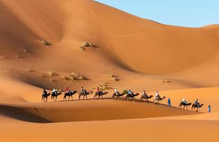 Luxury trek desert camp - 0
