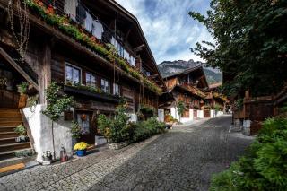 Altes Inserat Large apt in town center with garden & near lake - 7