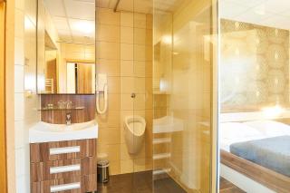 Wellness Hotel Kocanda - Děčín - 1