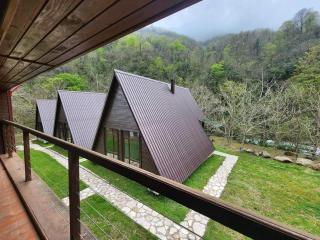 Mtirala National Park hotel ORBEZA - Kobuleti - 2