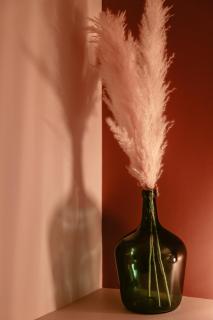 Chaleureux Studio - Centre Ville, Zénith - Wifi - 7