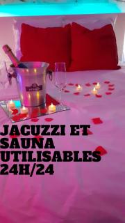 Le Bijou Appartement avec Jacuzzi et Sauna privatif Terrasse plein sud Clim Parking Privatif - Bandol - 8