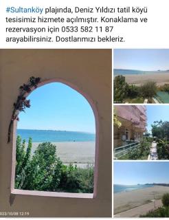 DENİZ YILDIZI - Marmaraereglisi - 0
