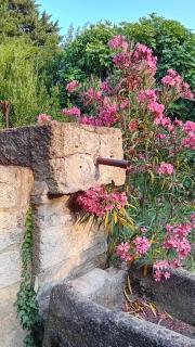 La Gandonne - Caderousse - 9