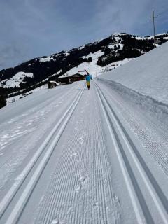 Apartment Alpbachtraum - 1