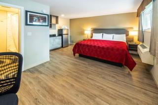 Econo Lodge Inn & Suites - Pincher Creek - 3
