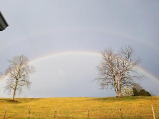 Flatt Creek Cottage - Livingston - 8