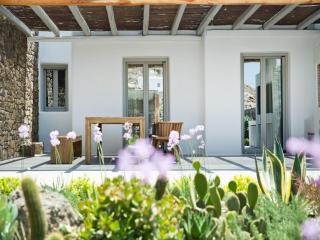 Luxury Mykonos Villa Stunning Seaviews 4 Bedrooms Jacuzzi Agia Sofia Villa - Tourlos - 8