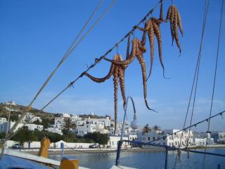 Luxury Mykonos Villa Stunning Seaviews 4 Bedrooms Jacuzzi Agia Sofia Villa - Tourlos - 6