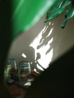 亀居Kameshuku 寵物友善 - 4