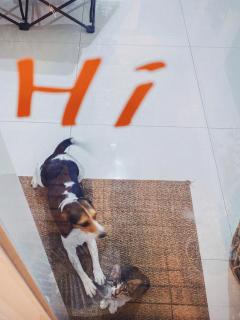 亀居Kameshuku 寵物友善 - 7