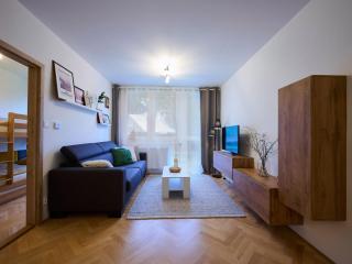 Apartment Harrachov 377 by Interhome - 1