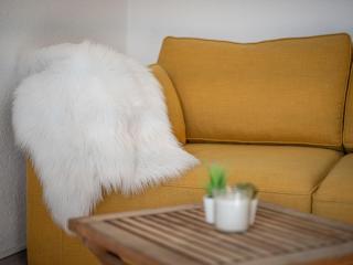 Studio Beau séjour 15 by Interhome - Ovronnaz - 6