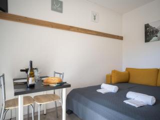 Studio Beau séjour 15 by Interhome - Ovronnaz - 2