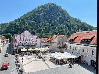Duplex Apartment Main Square - Kamnik - 7