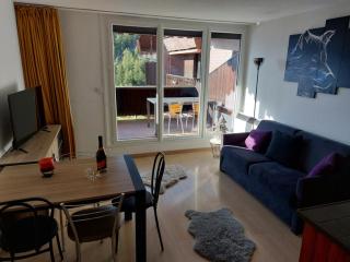 Confortable studio avec balcon à Pra-Loup - FR-1-165A-167 - Uvernet-Fours - 7