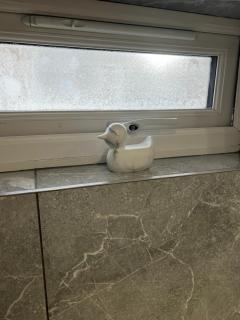 Modern 1 bed Flat with Private Courtyard - 5