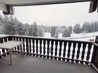 Appartement 4 personnes au pied des pistes - Les Déserts - 7