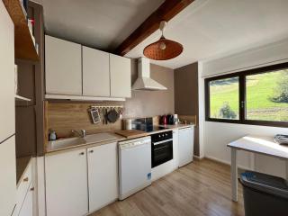 Appartement T2 face aux pistes avec terrasse, 9 couchages, proche commerces et piscine - FR-1-165A-103 - Enchastrayes - 1