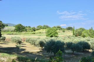 Family house 10 mn walking distance from Lourmarin - Lourmarin - 8