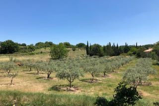 Family house 10 mn walking distance from Lourmarin - Lourmarin - 5