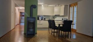 Sofia Apartment - Aare Jungfrau AG - Wilderswil - 7