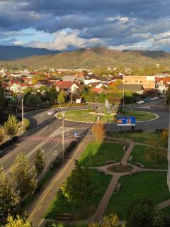 Central ParkView Apartment - Baia Mare - 9