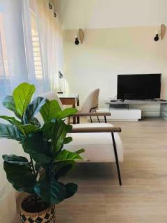 Appartement 50m du centre historique - 1