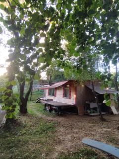 OLD CHALET - Bîltişoara - 2