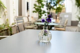Home Away From Home - Modern & Cozy Apartments near Vibrant Unirii Area - Bucarest - 4