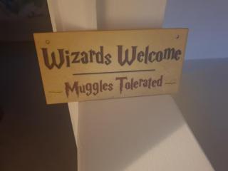 Harry Potter theme Double room in shared house - Garston - 3