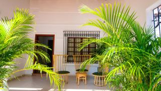 Casa Palmar Cartagena - Cartagena das Índias - 9