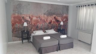 flamingos rio - 3