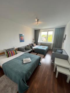 Stylish Youthful Condo in the Heart of Mödling, Fiatalos Boldog Otthon Mödling Szivében - Mödling - 9