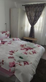 Pensiunea Happy Flowers - Greci - 1