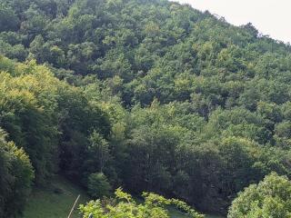 Source Nature - Le Mas-dʼAzil - 9