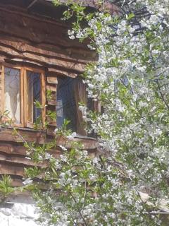 Los Riscos Antigua Cabaña Toba - 4