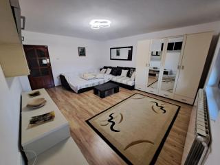 Penthouse Daniela - 3 Rooms in a Spacious Central Apartment - Târgu-Mureş - 5