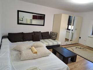 Penthouse Daniela - 3 Rooms in a Spacious Central Apartment - Târgu-Mureş - 6