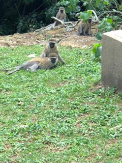 The Address Resort - 5