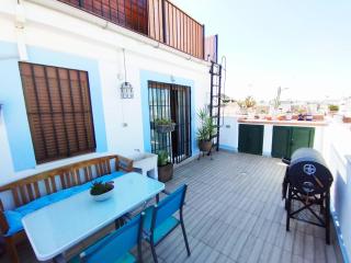 Casa Gavidia - Duplex with Panoramic view - Sevilla - 0