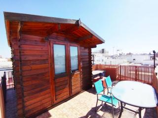 Casa Gavidia - Duplex with Panoramic view - Sevilla - 1
