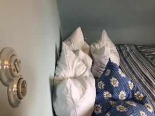 Blaues Zimmer -keine Küche- mit grossem Balkon, Bad ist ein Traum, nur 50 Schritte zum Radweg am Main - 1