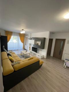 Roxi's Apartment - Sibiu - 8